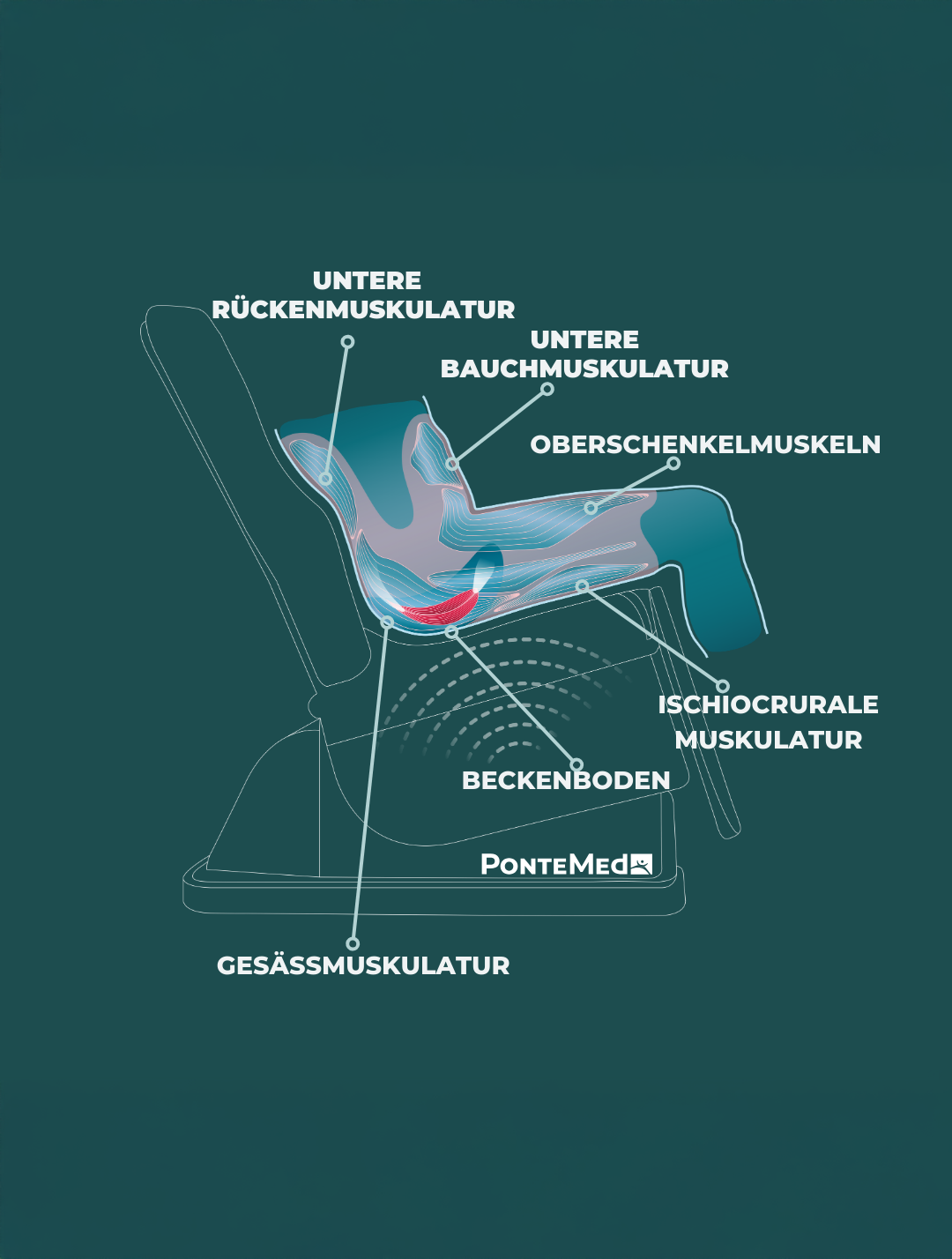 PelviPower funktionelle Magnetstimulation für den Beckenboden - medizinischer Stuhl
